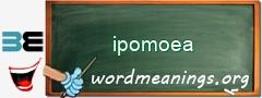 WordMeaning blackboard for ipomoea